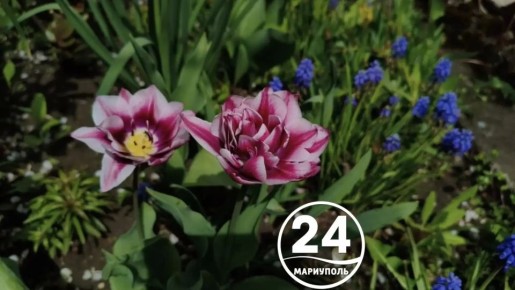 � ������ �����, ���������!