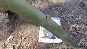 ������������� �� ������ ������������� ��������� ������������ ��� � ��������� ������� ��������� ���