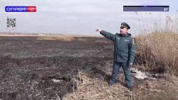 Одна искра — сотни гектаров