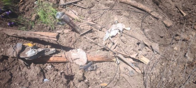 13.05.2026 в 10:50 диспетчерской службой ГУП ДНР «УГЛЕТЕЛЕКОМ» зафиксировано резкое ухудшение работы каналов передачи данных по направлению: г. Мариуполь – г. Новоазовск