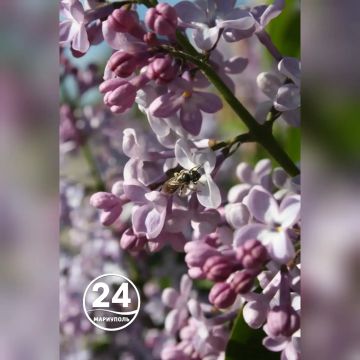 ������ �� ����� ��������� ����� ������, ��������� �������