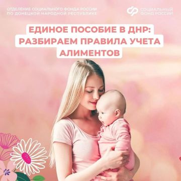 ����� ������� ����� ���������: ��� ����� ����� ��������� �� ��� � 2026 ����