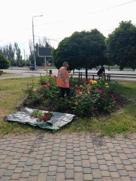 Коммунальщики продолжают благоустройство зеленых зон