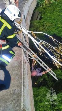 В Мариуполе спасатели помогли мужчине выбраться из реки Кальчик