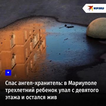 ���� �����-���������: � ��������� ���������� ������� ���� � �������� ����� � ������� ���