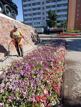 В Мариуполе коммунальщики усилили полив цветников