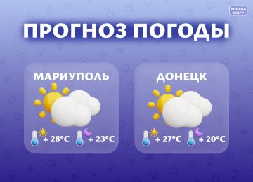 ������� ������ �� 29 ����. ���������
