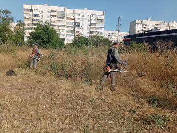 Коммунальщики продолжают борьбу с высокой растительностью