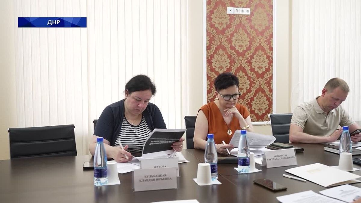 В Народном Совете обсудили меры поддержки материнства и многодетных семей в ДНР