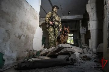 Служебная собака Росгвардии помогла задержать подозреваемого в преступлении в ДНР