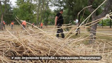 � ����� 50-����� ������ ������������� ����� ������ �������� ����������