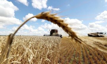 ����� �������: � ��������� ������ ��������� ������������ �������� ���� ��������� �������� 2026 ����