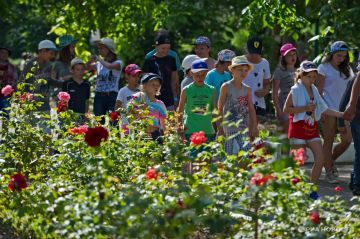 Погода на новых территориях России