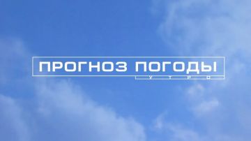 12 августа в Мариуполе:. солнечно, без осадков