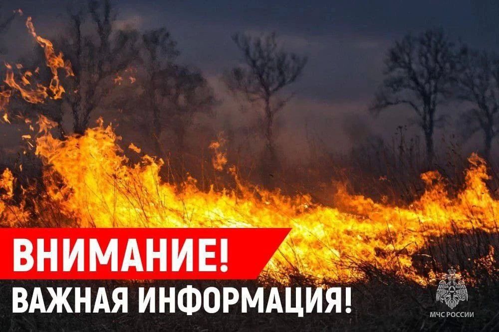 МЧС: Чрезвычайная пожароопасность (5 класс) в центральных районах ДНР, в северо-восточных районах и Приазовье высокая пожароопасность (4 класс) ожидаются 14-16 августа