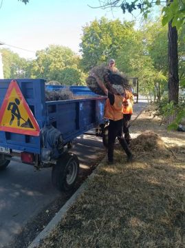 Специалисты «Уютного города» подвели итоги работы за прошедшие сутки Дорожные службы: