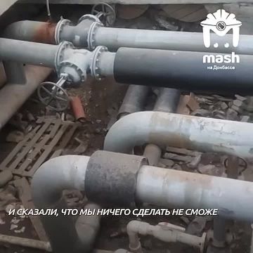 Собак с щенками могут заживо замуровать в яме с трубами теплосети в Мариуполе