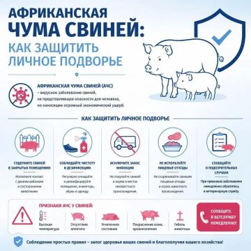 ����������� ���� ������: ��� �������� ���������