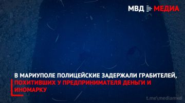 В Мариуполе полицейские задержали грабителей, похитивших у предпринимателя деньги и иномарку