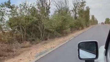 � ���� � �� ���������� ������