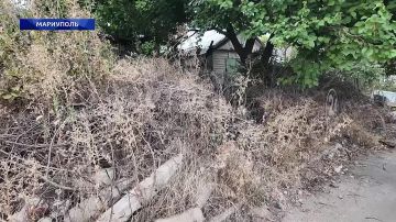 ������ �������� ������� ������������ ������ ��������� �������� �� ��������� ������! 31.08.2026