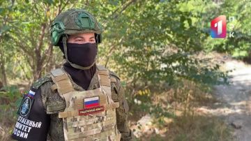 За прошедшую неделю следователями СК России зафиксированы преступления вооруженных формирований Украины, совершенные в отношении мирного населения ДНР