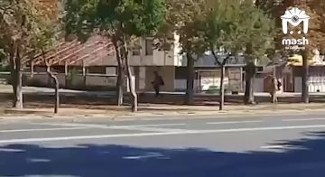 � ��������� �������� �������������, ���������� ����� ����������� ����� � ������� �������