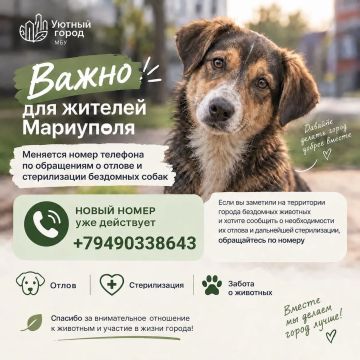 Изменился номер телефона для обращений по вопросам отлова и стерилизации бездомных собак