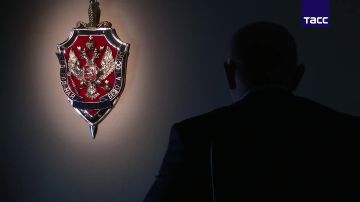 Против живущей в Лондоне экс-модели Ксении Максимовой возбуждено дело об участии в деятельности террористической организации, сообщили в ФСБ