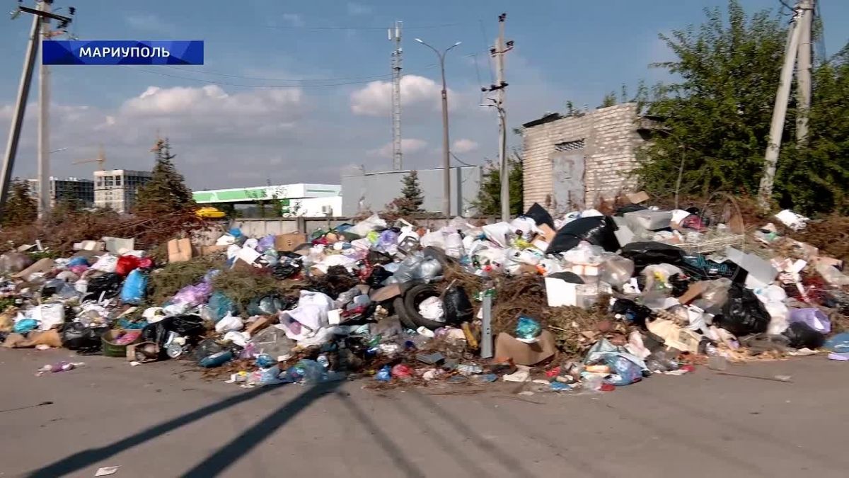 Стихийные свалки в Приморском районе! Когда планируют очистить территории от несанкционированных свалок и будут ли привлекать к ответственности несознательных граждан? 09.10.2026