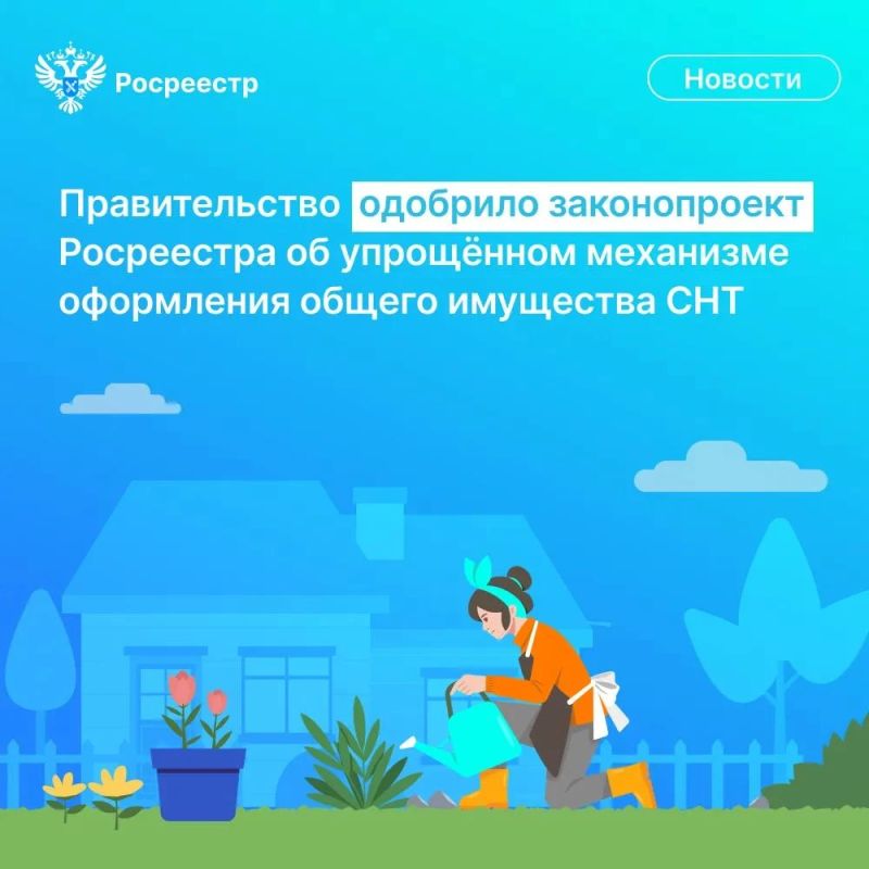 Правительство РФ одобрило законопроект Росреестра, разработанный в целях создания упрощенного механизма оформления прав на общее имущество СНТ