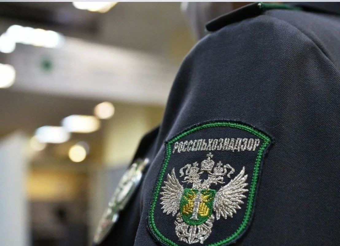Россельхознадзор выявил нарушения у сельхозпредприятий ДНР в области обеспечения качества и безопасности зерна, а также карантинного фитосанитарного контроля